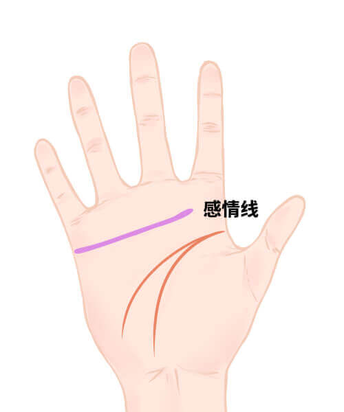 感情线