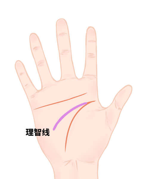 智慧线