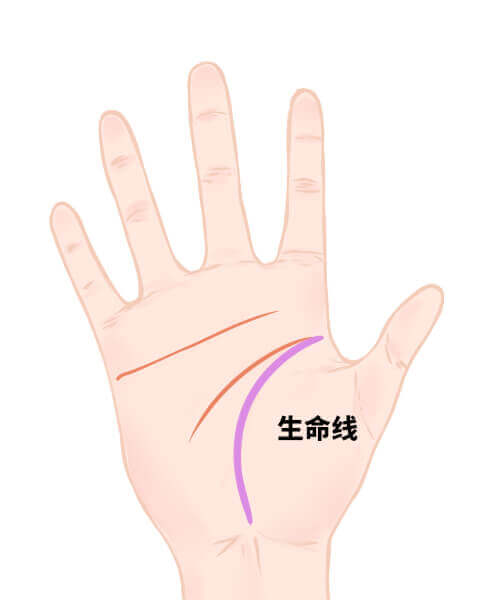 生命线