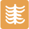 称骨骨重