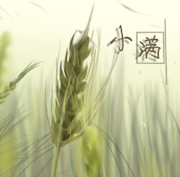小满